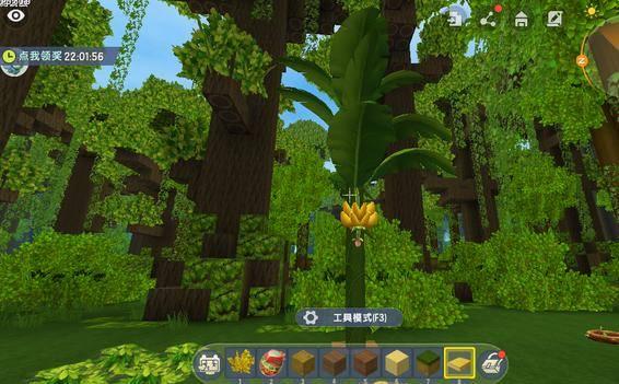 迷你小雨林爆料视频大全,揭秘神秘视频大全背后的奇幻世界  第3张